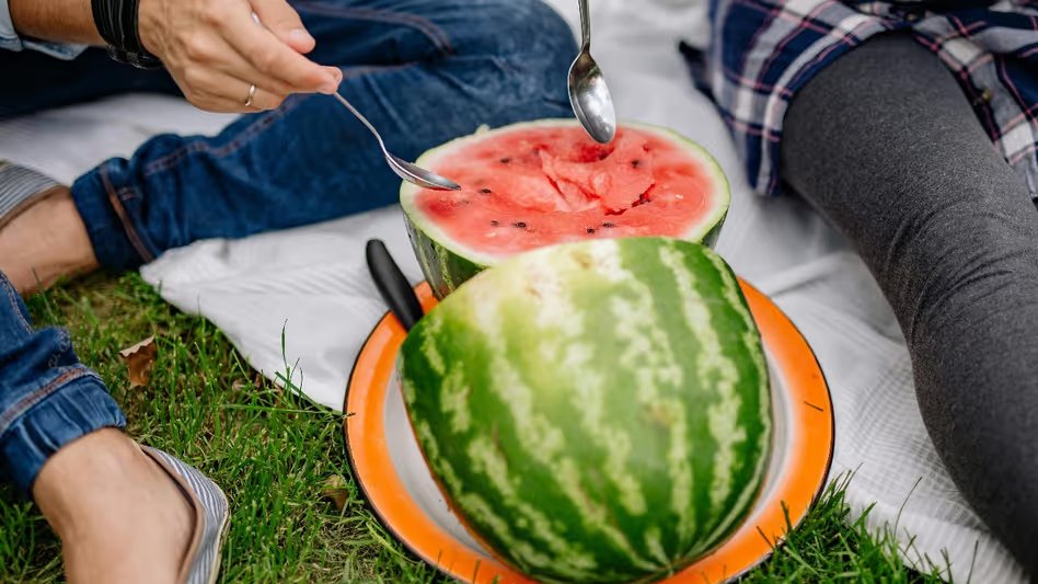 GoodNewsToday's tweet image. Benefits Of Stripped Watermelon: आखिर क्यों धारीदार तरबूज होता है सेहत के लिए फायदेमंद.. वेटलॉस में भी करता है मदद, ऐसे करें बाजार में पके हुए फल की प... 

#benefits #Watermelon #Fruits #Summer #Weightloss 

पूरी खबर पढ़ें: tinyurl.com/wfznk9ah