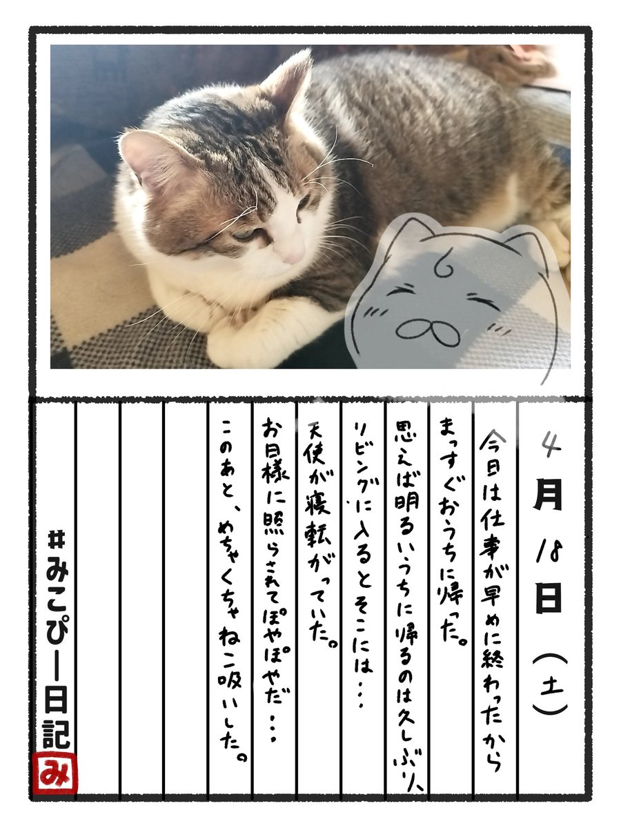 とらじろう@毎日特茶🍵健康生活 tweet media