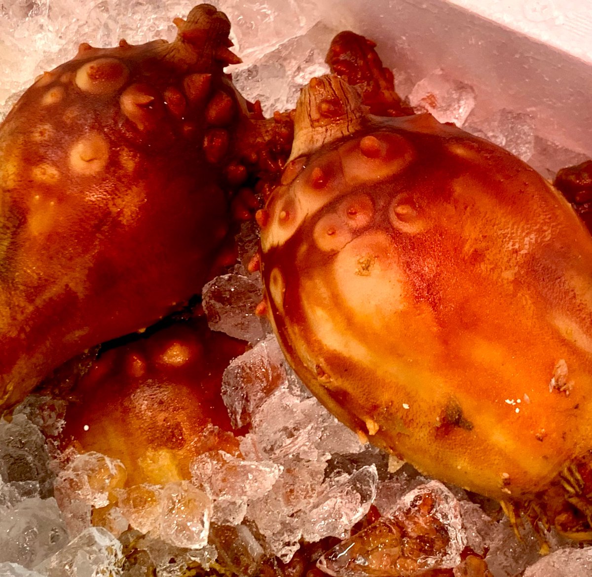 天然だしラーメン潮の音 tweet media