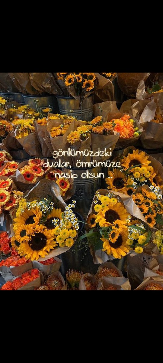 #cumartesi
#rastgele🍀🍀🍀
