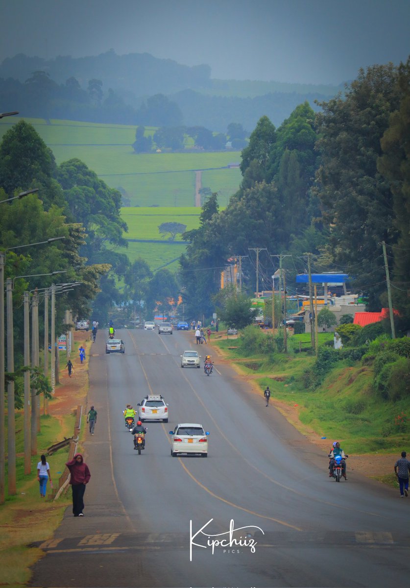 GREAT-NESS tweet media