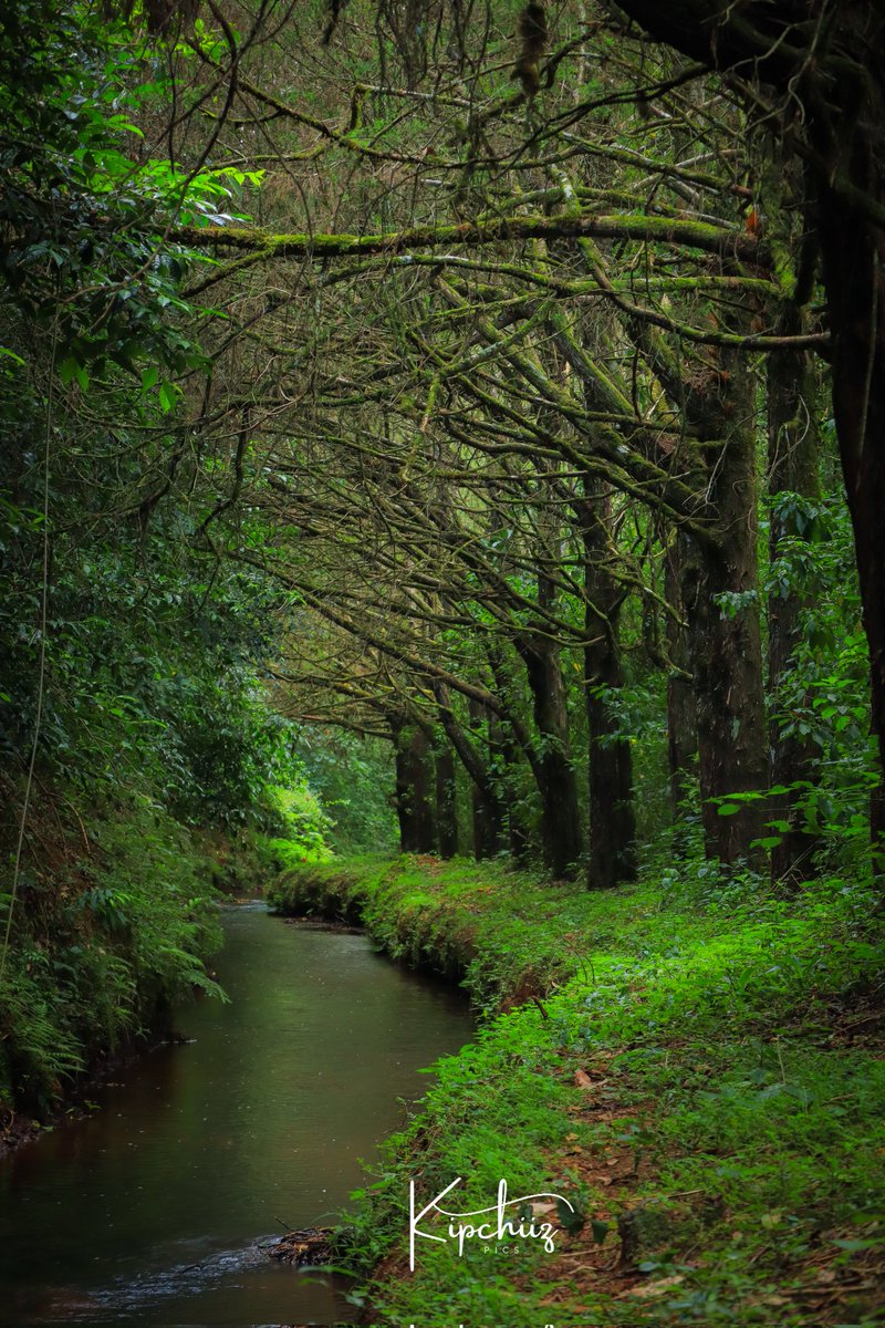 GREAT-NESS tweet media