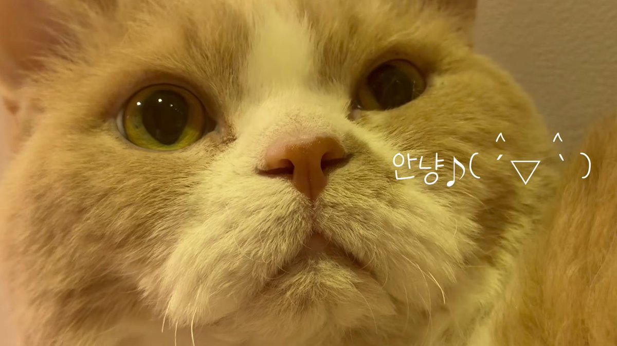 toshiike tweet media