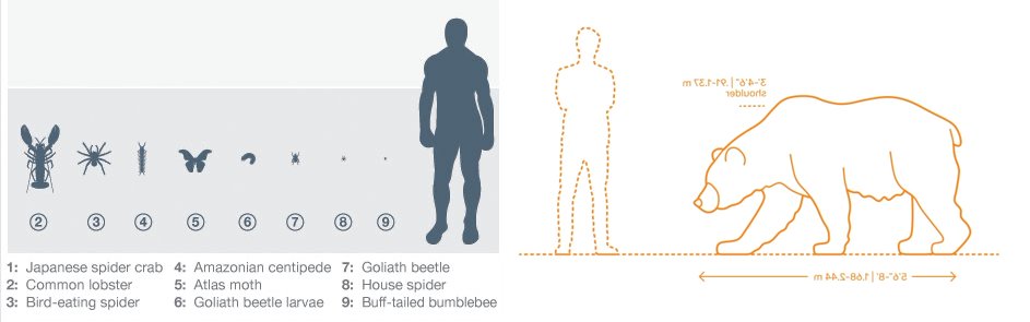 mr raridash tweet media