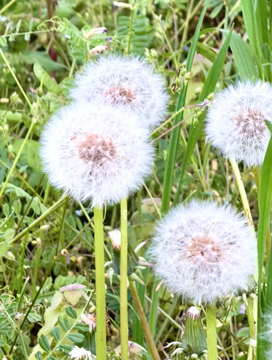 Hazel(しずか) (@hazel2404) on Twitter photo 