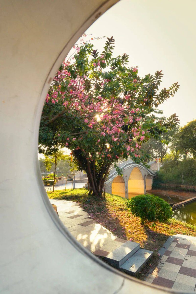 Calline  Roberts tweet media