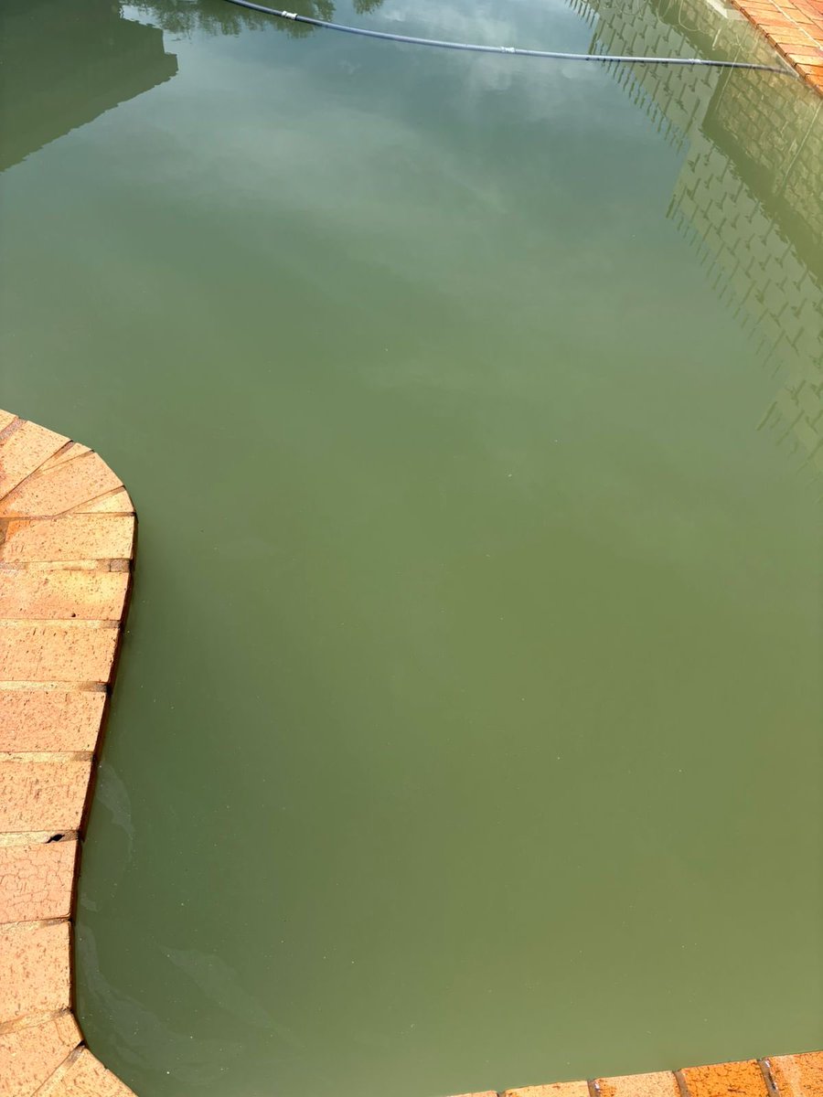 MedumoP22828's tweet image. This is unacceptable. Since Monday, raw sewage has been overflowing into my property and NOTHING has been done by the City of Tshwane Metropolitan Municipality.

Over 15 escalations. Multiple calls. No action.
#Tshwane #ServiceDeliveryFail #HealthHazard #AccountabilityNow