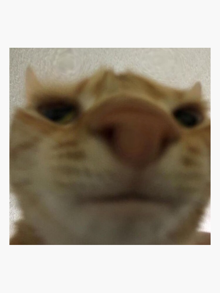 Spidergum tweet media