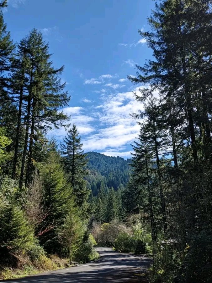 MESSAI_Bill's tweet image. Good Saturday. #WeekendVibes