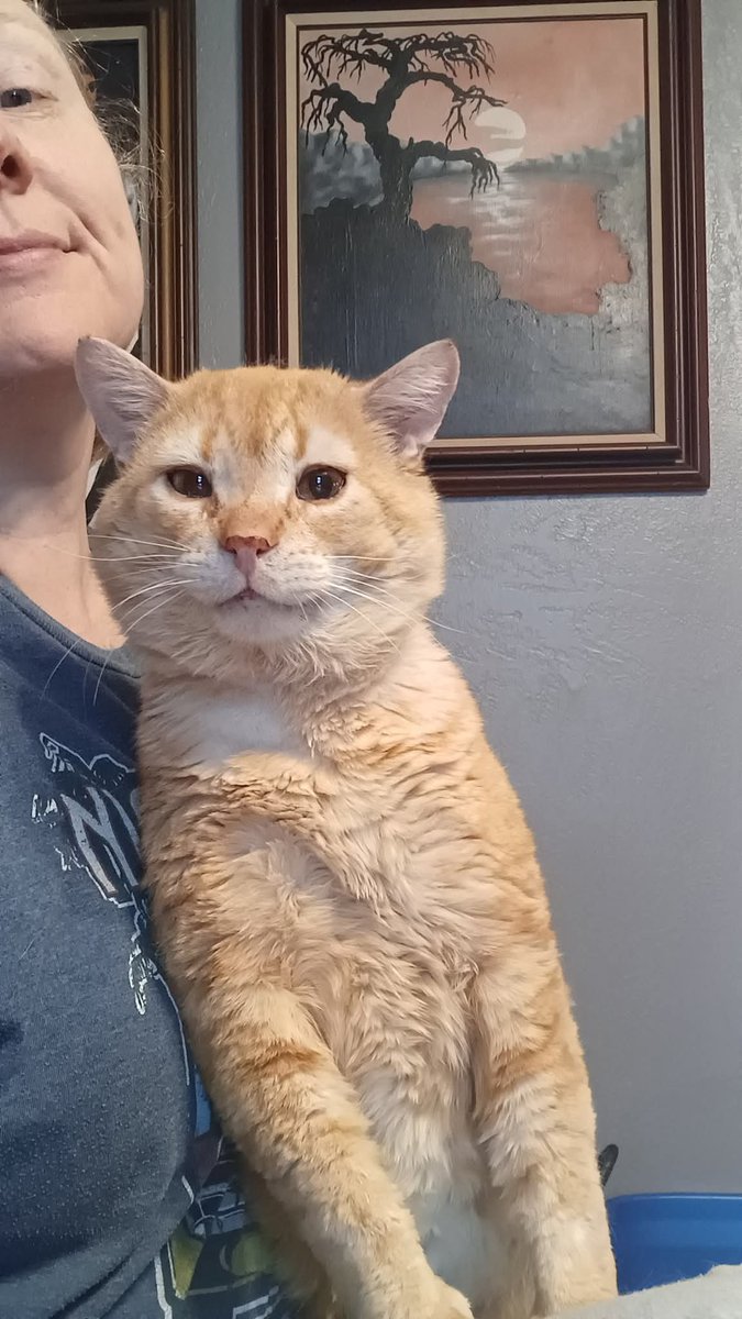 Sara Mary ⭐❤️ tweet media