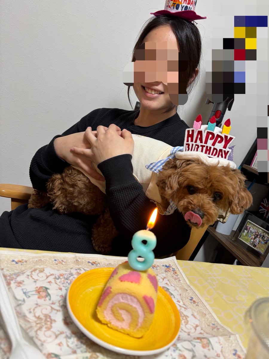 MARO君の太陽 tweet media