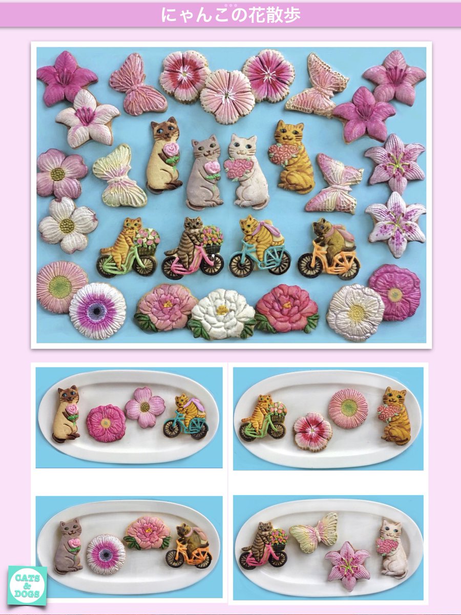 キャッツ&ドッグズ tweet media