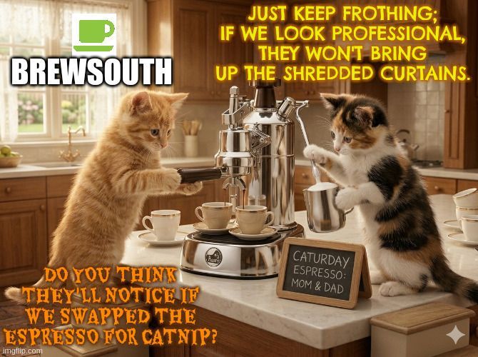 BrewSouthCoffee's tweet image. MacDaddy Breakfast Blend Coffee is a custom blend that is #smooth &amp;amp; mellow flavor that is sure to #delight any coffee lover
Order Now ➡️ brewsouth.com/house-roast-co…
#coffee #caffeine #breakfast #mellow #delight #Caturday #SaturdayVibes #Caturdayvibes #saturdaymorning #saturdays