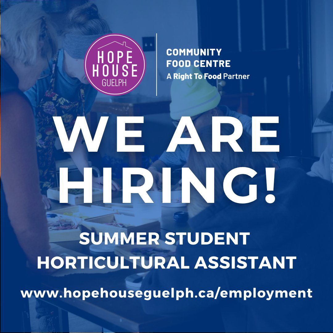 HopeHouseGuelph's tweet image. We're hiring a Horticultural  Assistant for the summer!
Start: May 19, 2026 until July 17, 2026

Visit hopehouseguelph.ca/employment to apply.

#HopeHouseGuelph #GuelphJobs #SummerJob #NonProfitWork #CommunitySupport