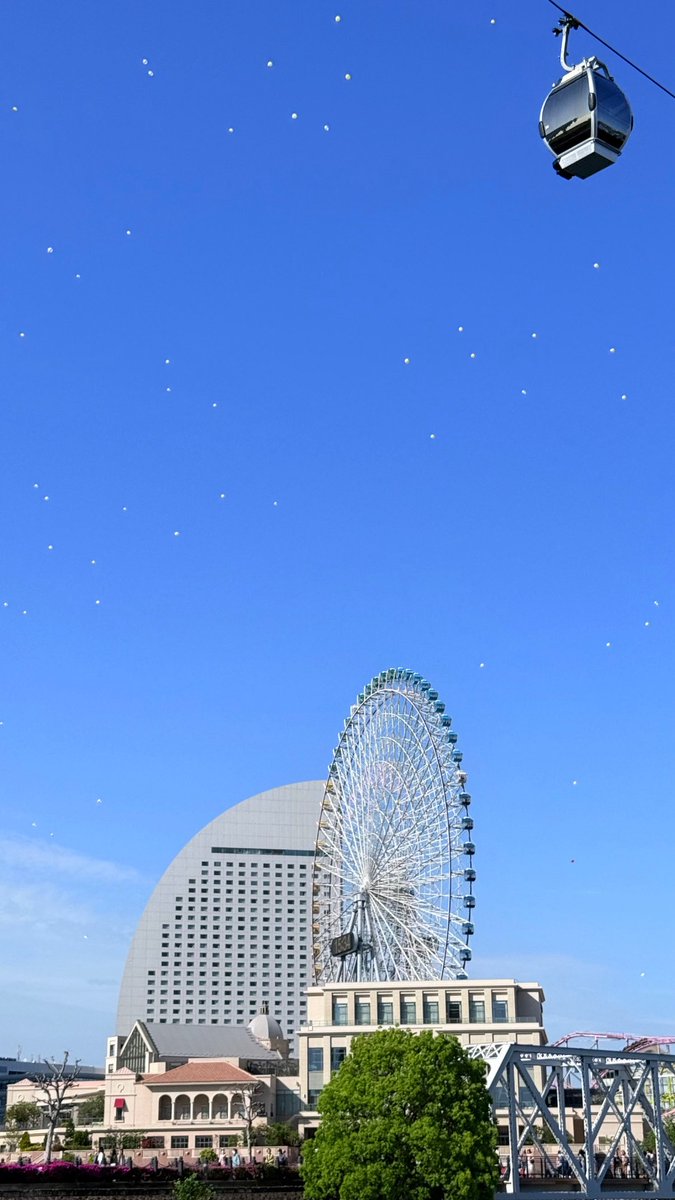 *.小田桐*. tweet media