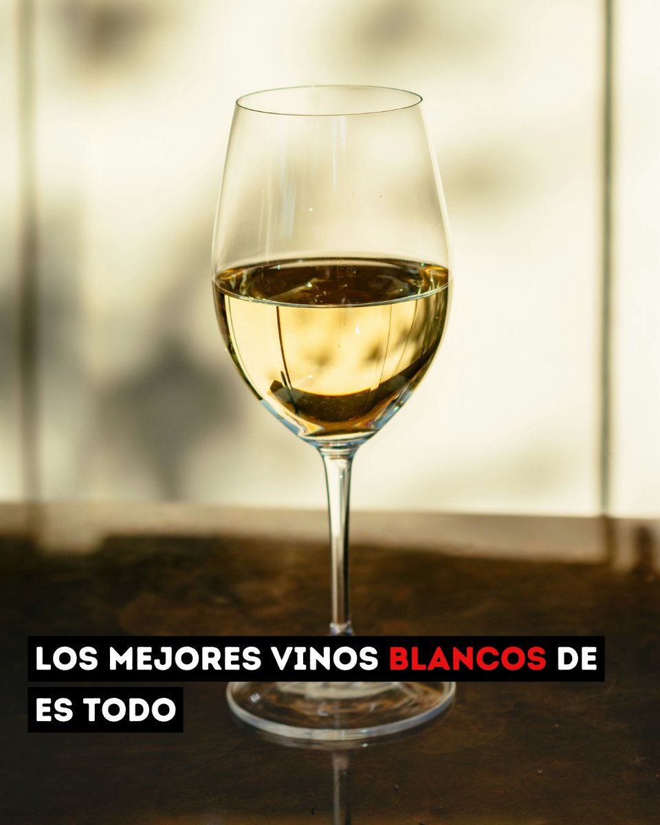 GastroMadrid_'s tweet image. 🥂 Hablar de vinos blancos en España ya no va de una categoría menor. Va de frescura, complejidad y proyectos que están redefiniendo cómo se entiende el vino desde el origen.

#vino #blancos

elblogdegastromadrid.com/mejores-vinos-…