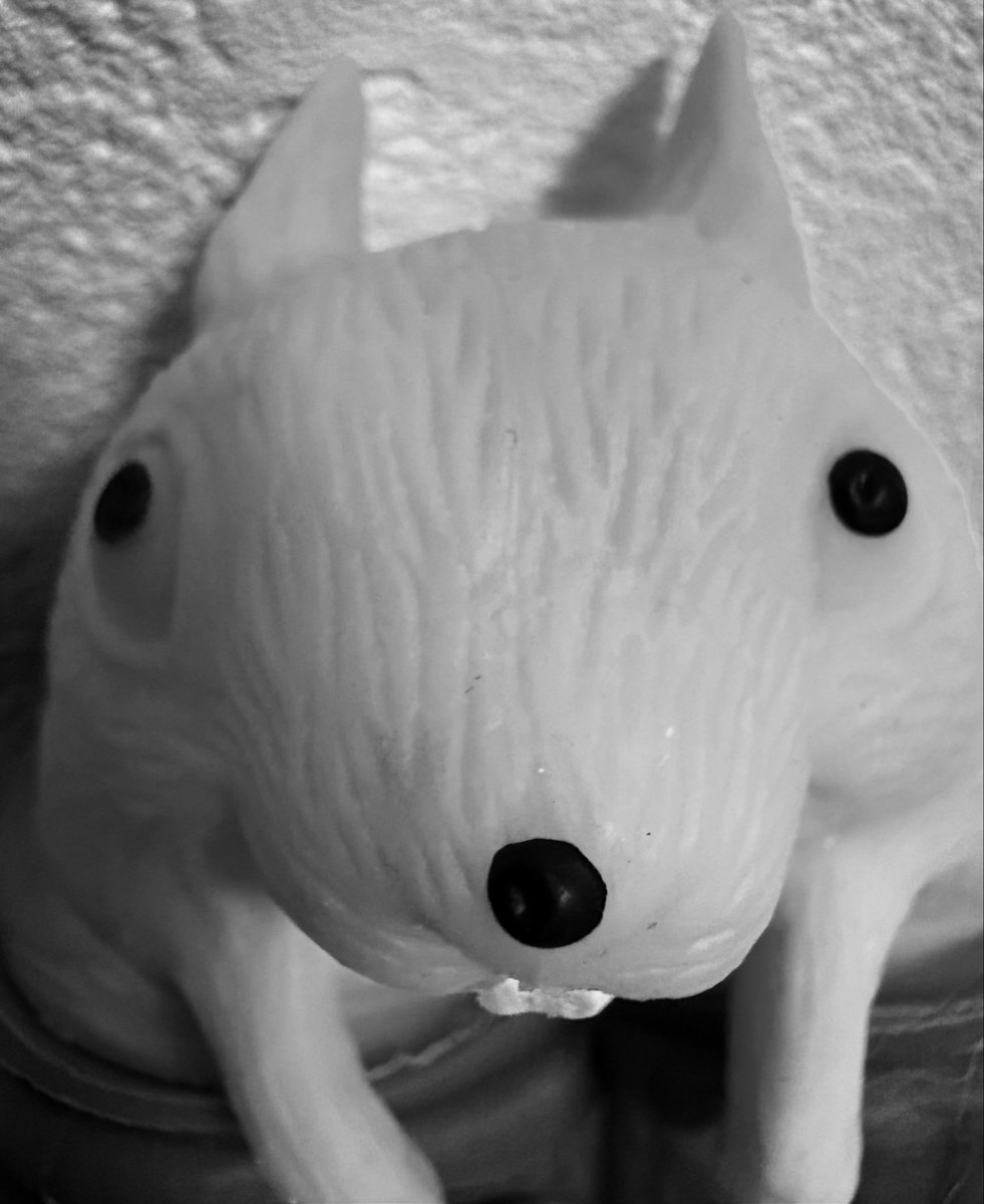 空牙だった人 tweet media