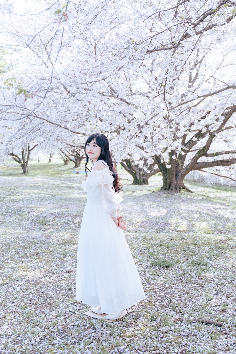 eijers's tweet photo. 桜ポートレート🌸
◯撮影モデル　SAKUYA
#桜ポートレート撮影 
#被写体募集中
#ポートレート撮影 
#福岡カメラマン https://t.co/PqIxDEZmbo