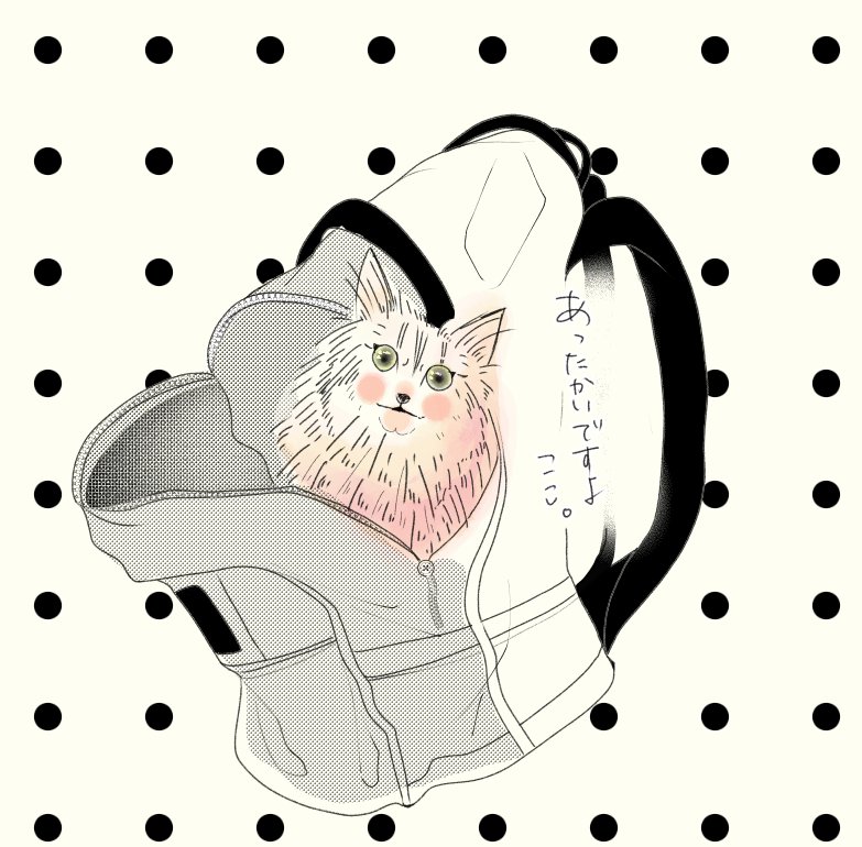 【猫あるある①】
　●秘密基地をいつの間にか作っている。

他にも『あるある』あったらコメント欄で書いてくださると嬉しいです😊✨️
