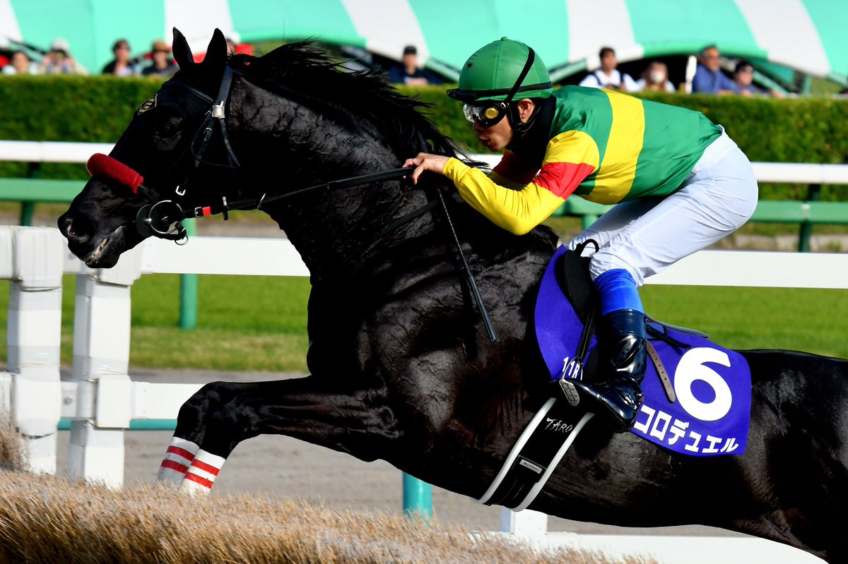 いぬくん tweet media