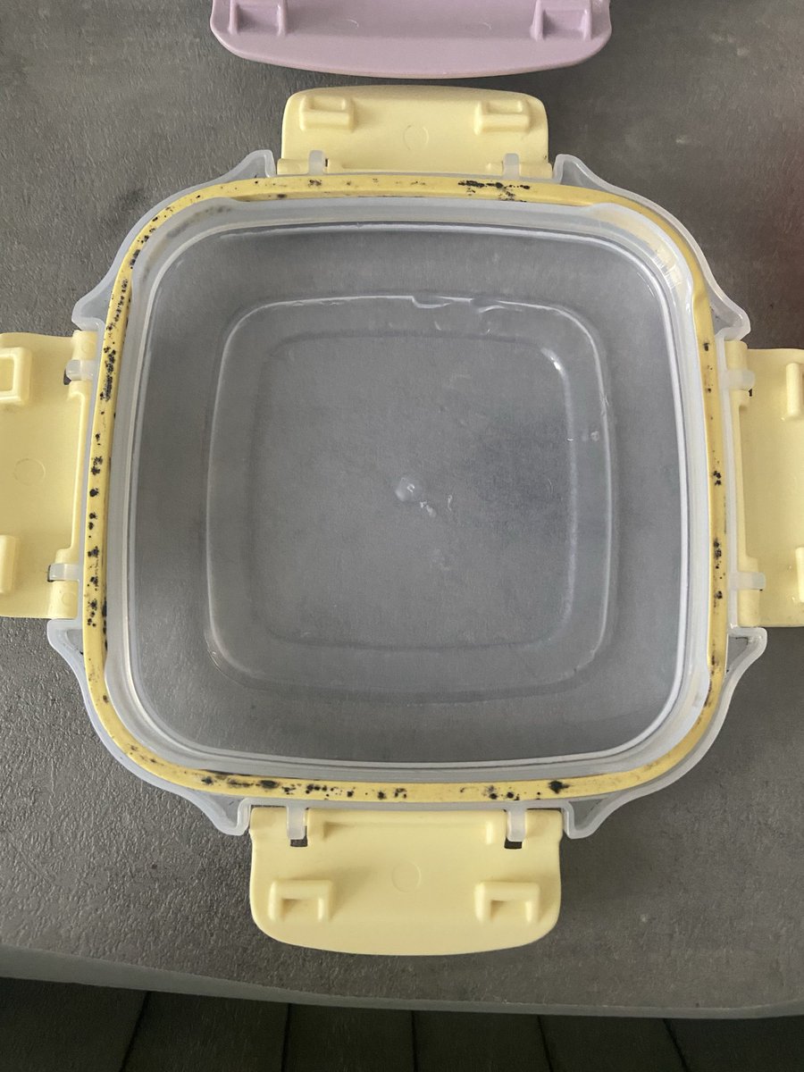 Dilek Yakut tweet media