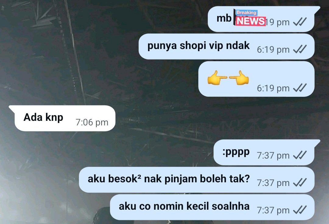 loaloa | mt after dm 📌 tweet media