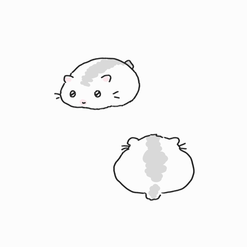 퍼깍소 tweet media