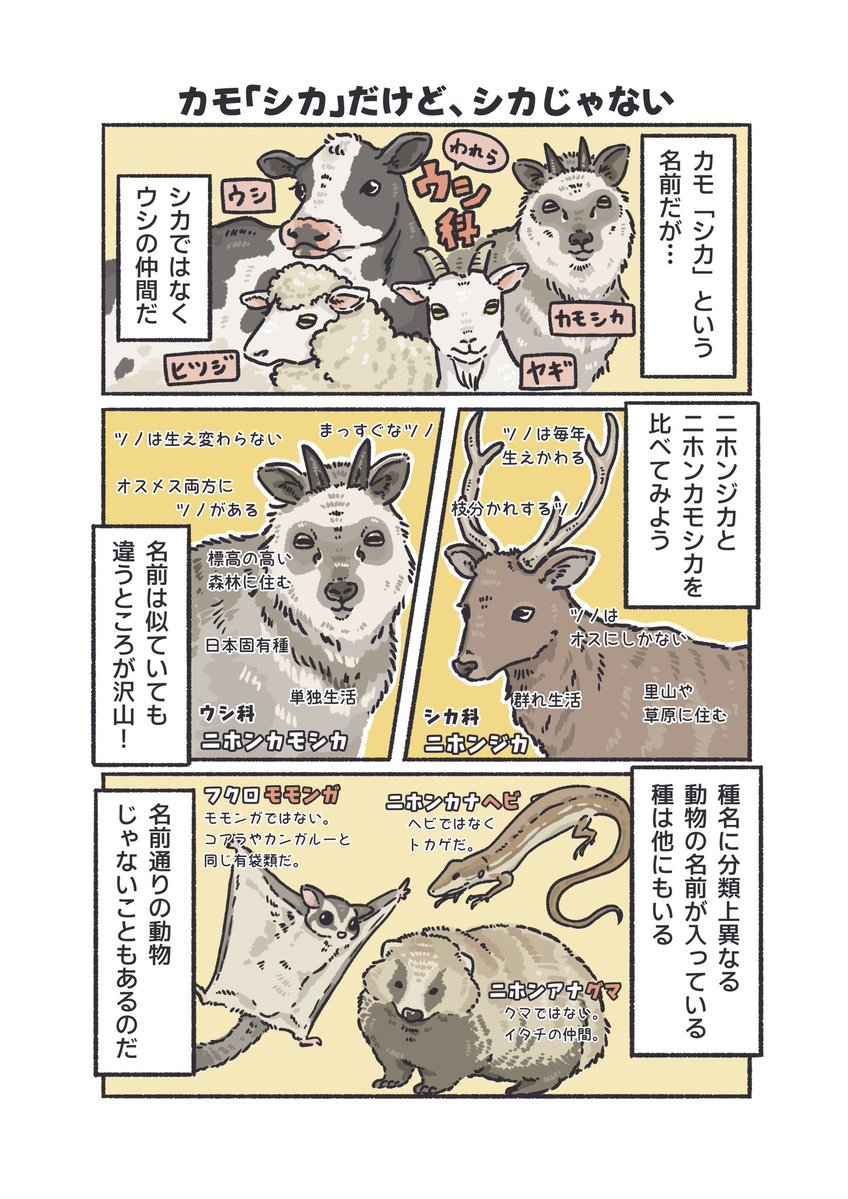 飯田市立動物園 【公式】 tweet media