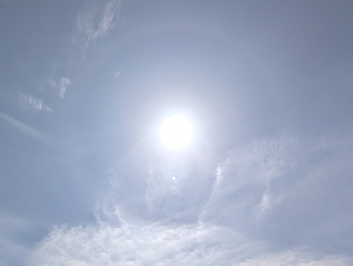 MushrooM_halos's tweet photo. 本日はタンジェントアークにハロ、そして今年初の環水平アークを見つけました✨️
#大気光学現象　#今日の空模様　#天気の図鑑 https://t.co/hJLMxu8bj4
