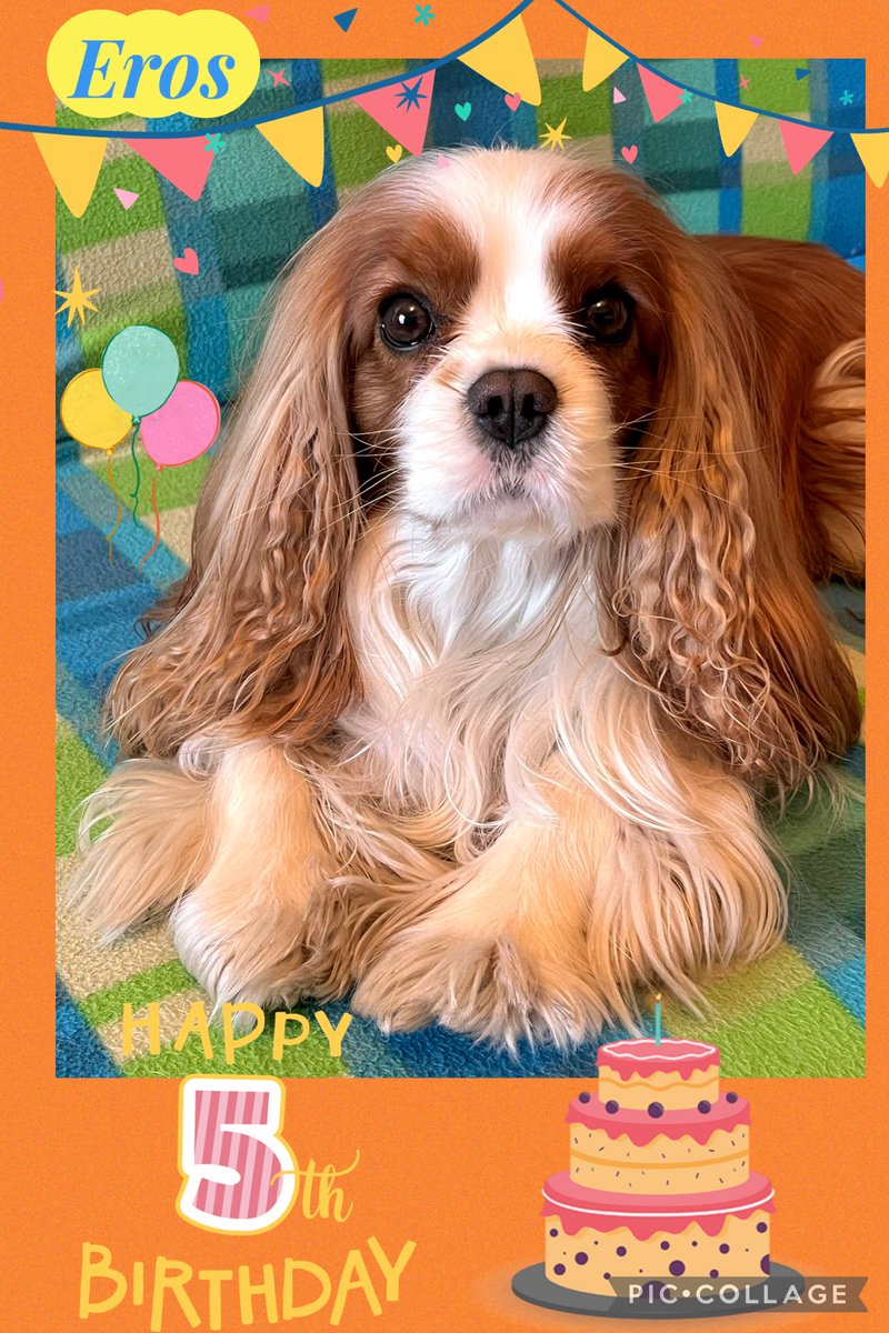 Eros - RIP 😇 Sally 🎀 tweet media