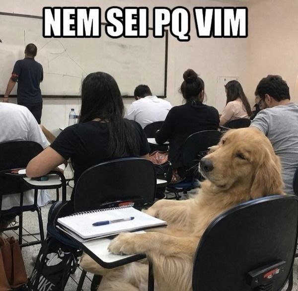 Zanfa 2 tweet media