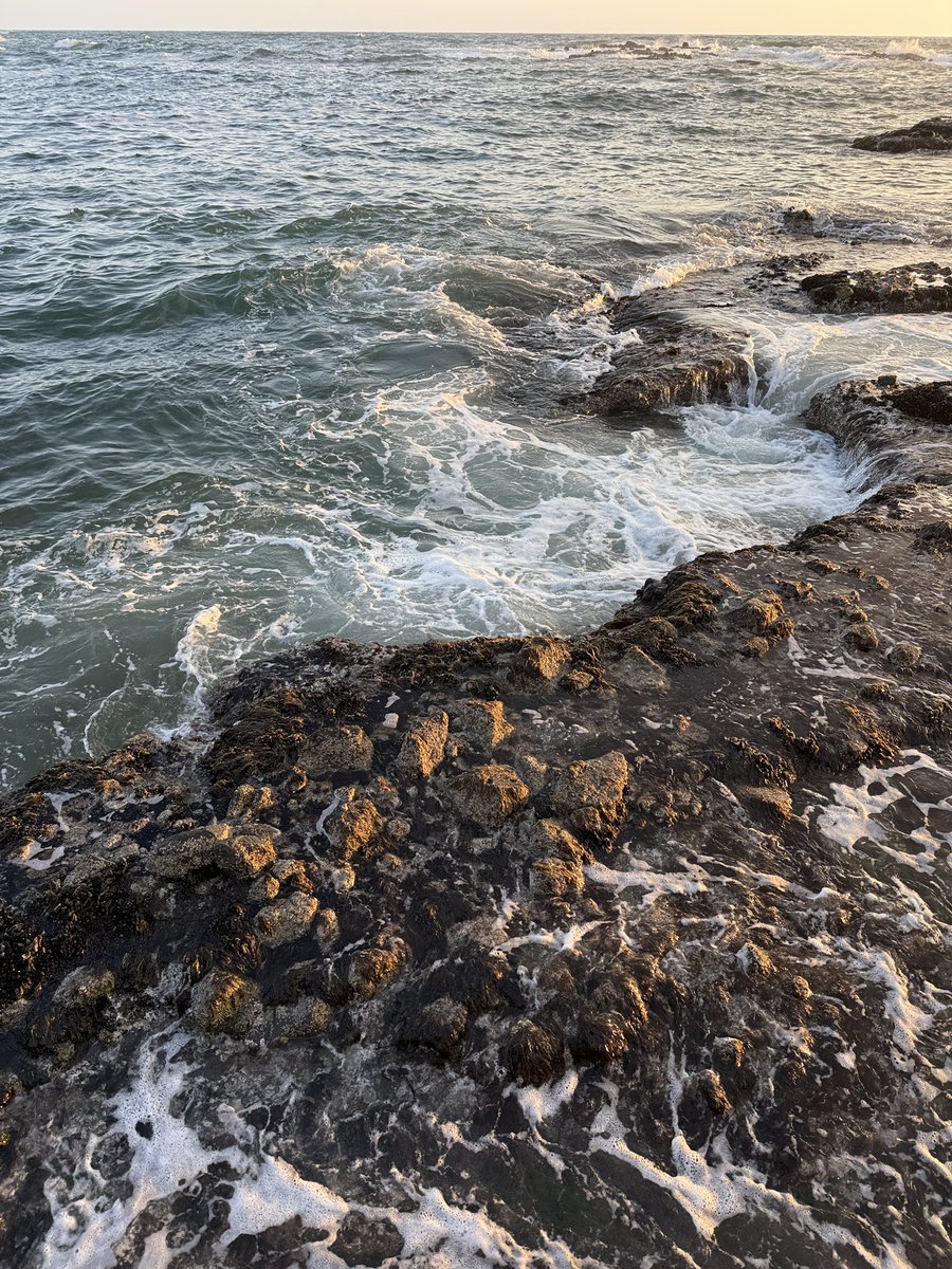 まるまる tweet media