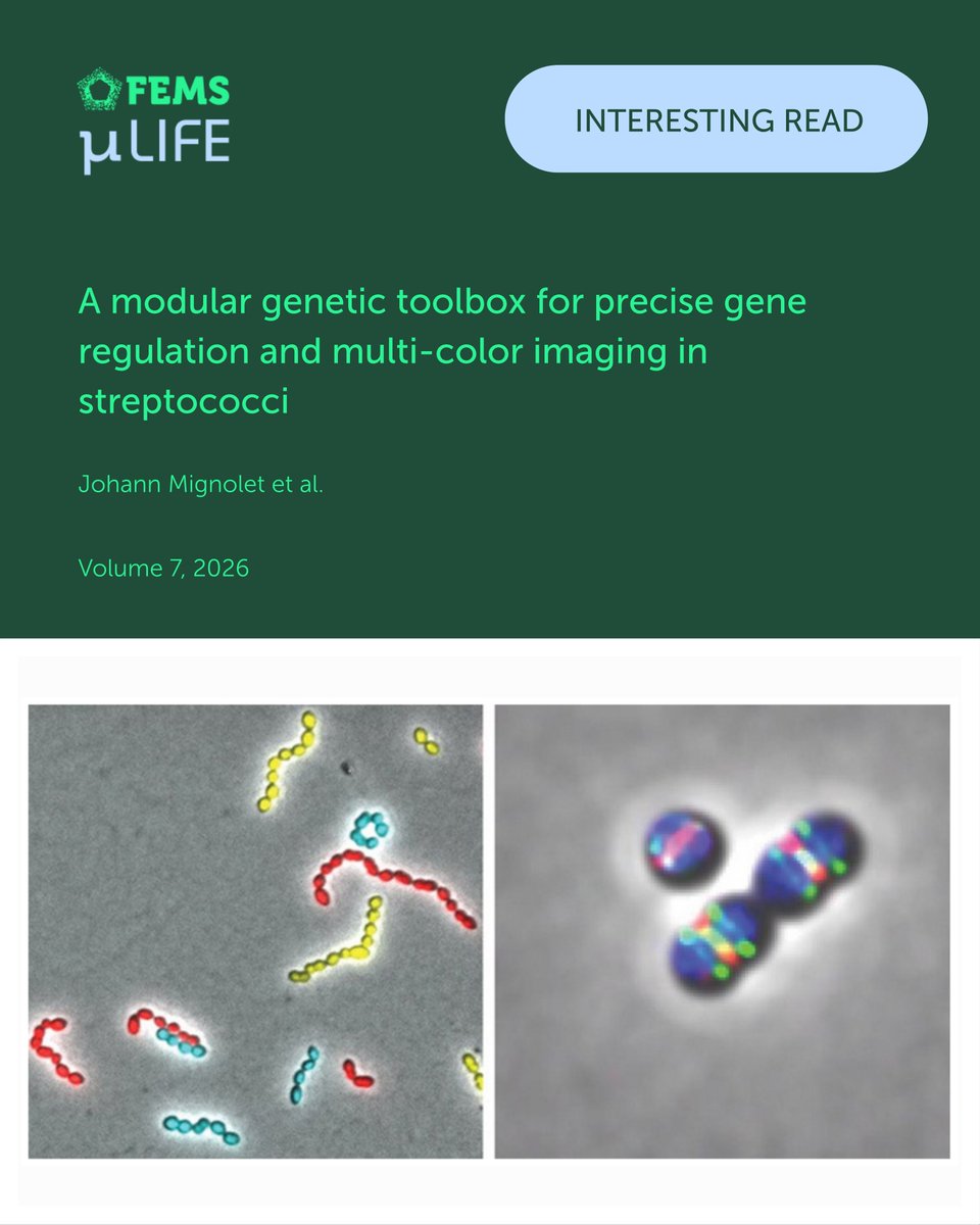 microLife tweet media