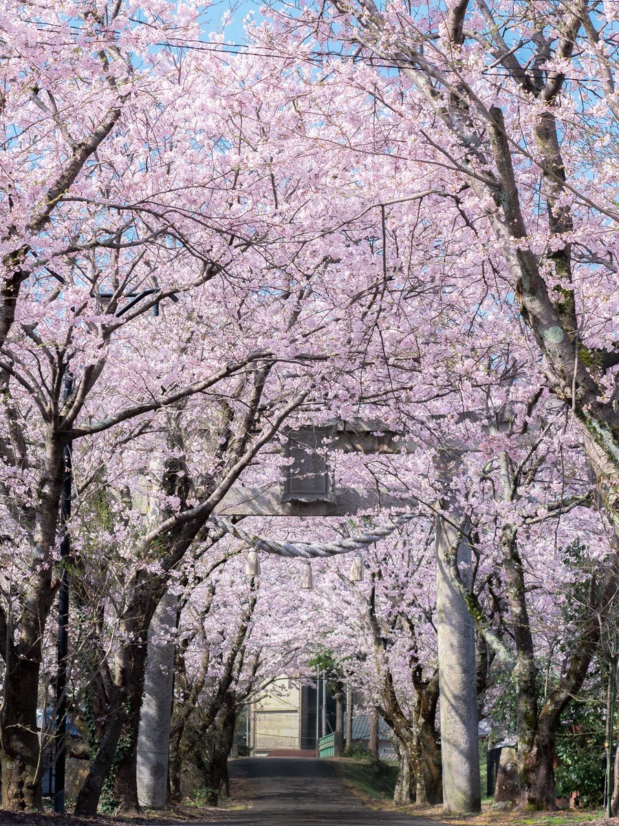 とうや tweet media