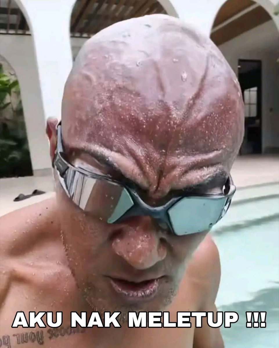 yakultrebus tweet media