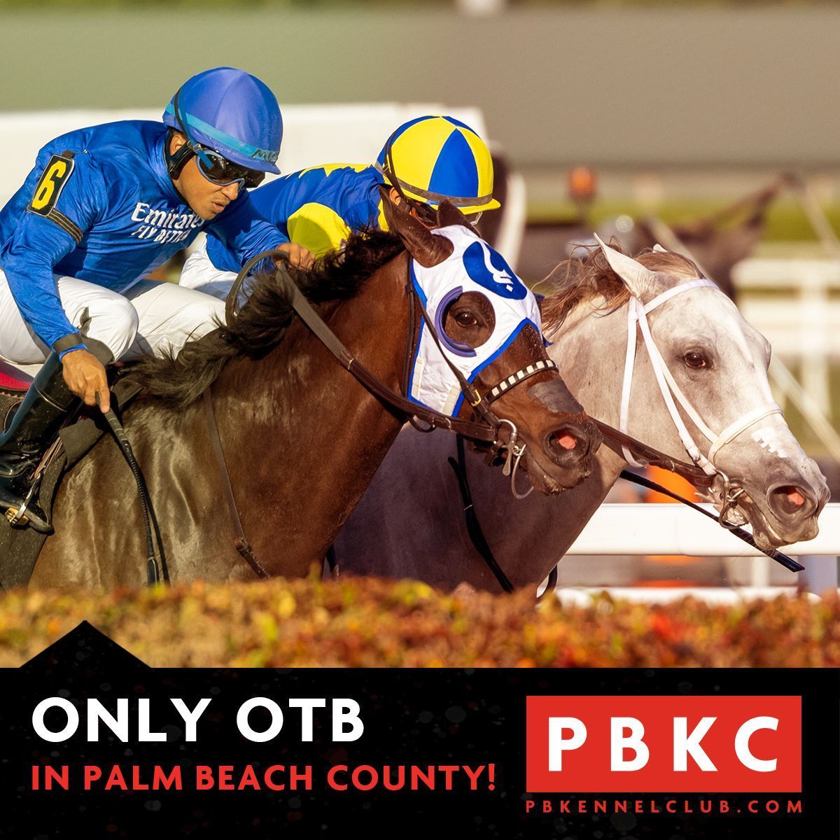 PBKennelClub's tweet image. PBKC is the only OTB in Palm Beach County! 

Come play all the biggest races from all the best tracks!

The Paddock Restaurant is the best place to play!

#otb #horseracing #simulcast #bet #kentuckyderby #westpalmbeach