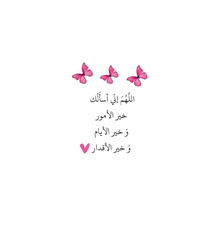 مُطمئِنةَ.! tweet media