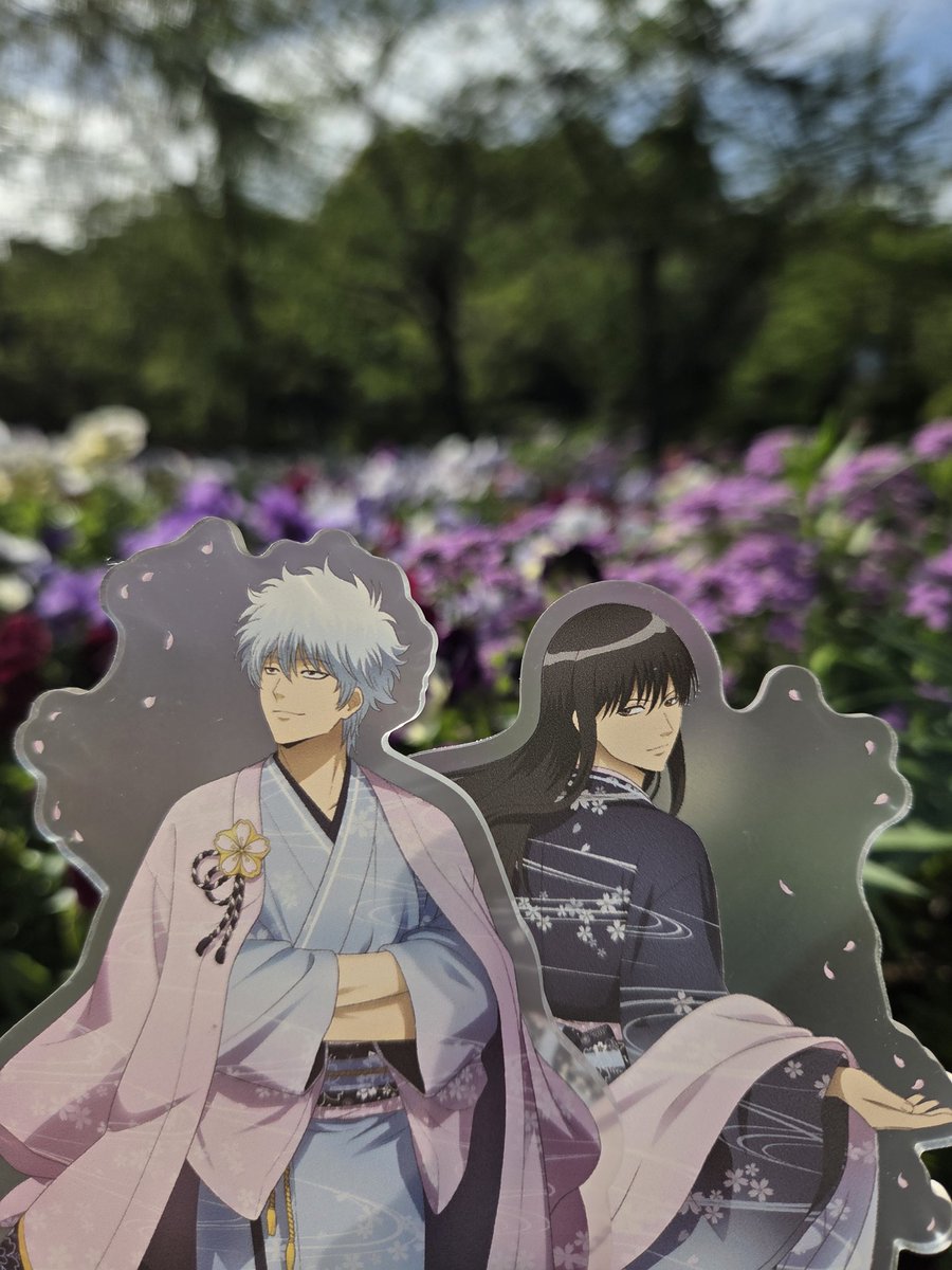 念願のハナビヨリ銀づ🌸😭