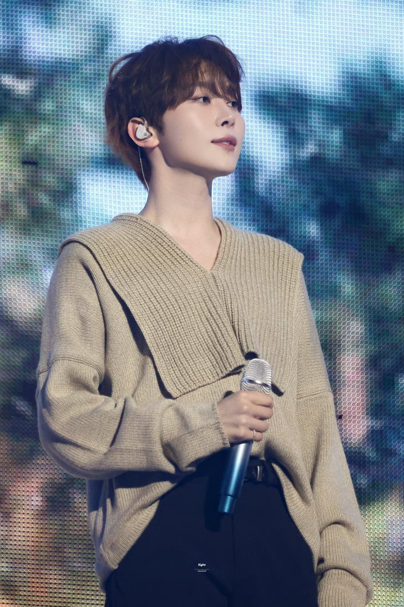 spill sweater seungkwan pliss