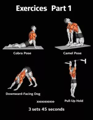 CadioArena's tweet photo. (Part 1 Exercises)

• Cobra Pose – opens chest &amp; spine
• Camel Pose – deep back stretch
• Downward Dog – lengthens spine + hamstrings

• Pull-up Hold – decompresses your spine
Consistency is key. https://t.co/4kGYm4g7FR