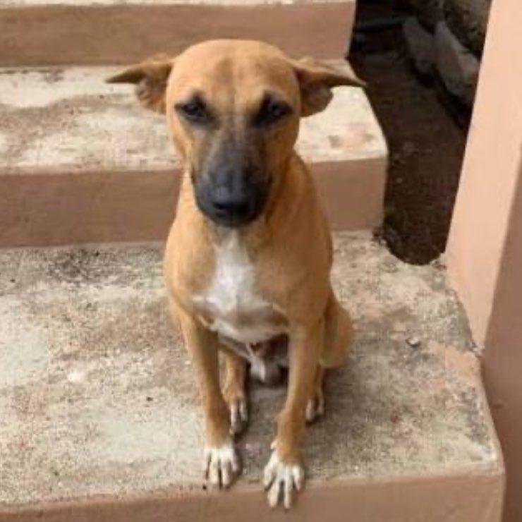 Bofrot1cedi tweet media