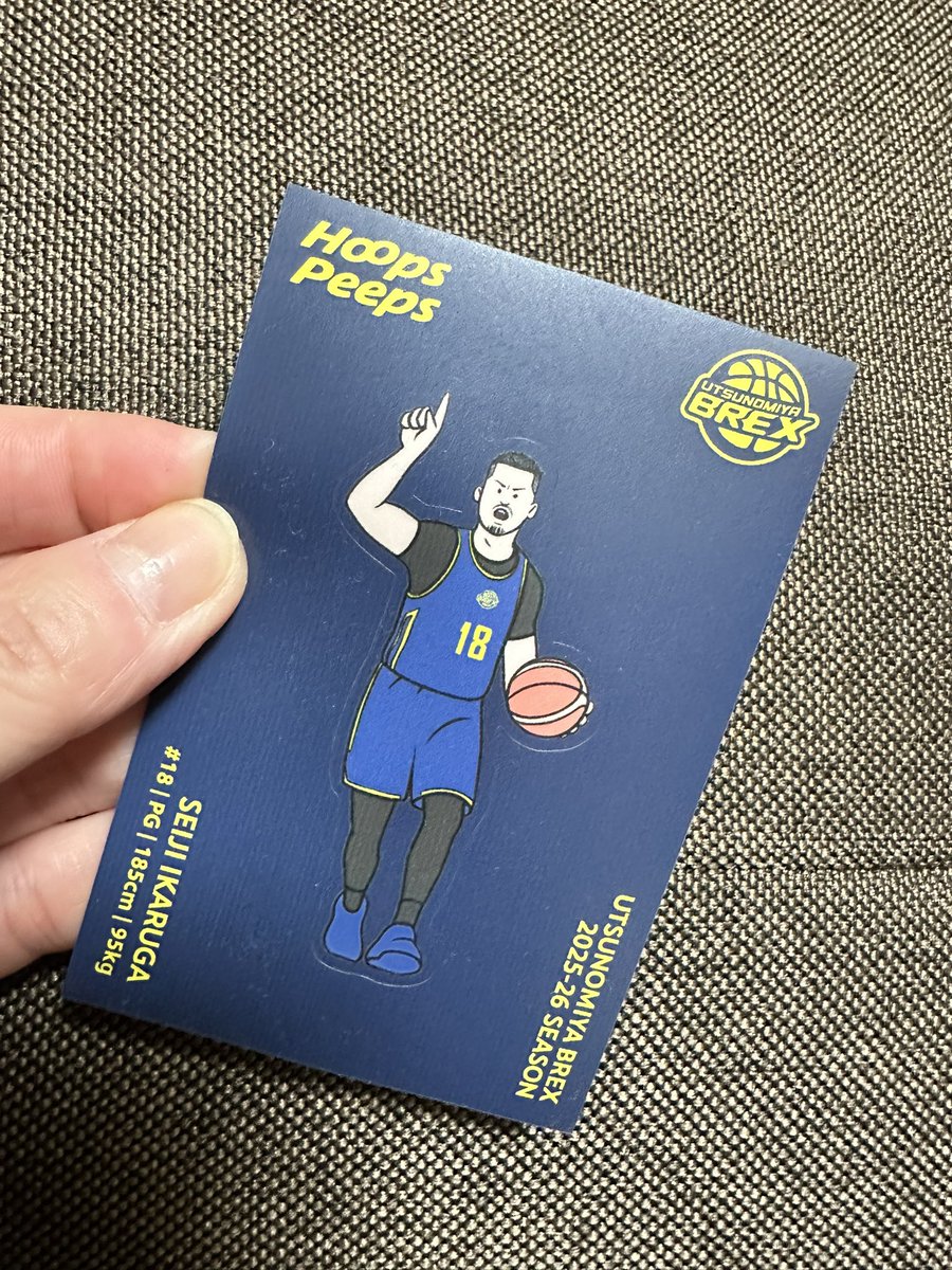 duck（あひる） tweet media