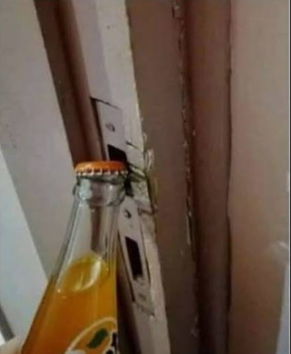 Dina Sa3di Ph.D tweet media