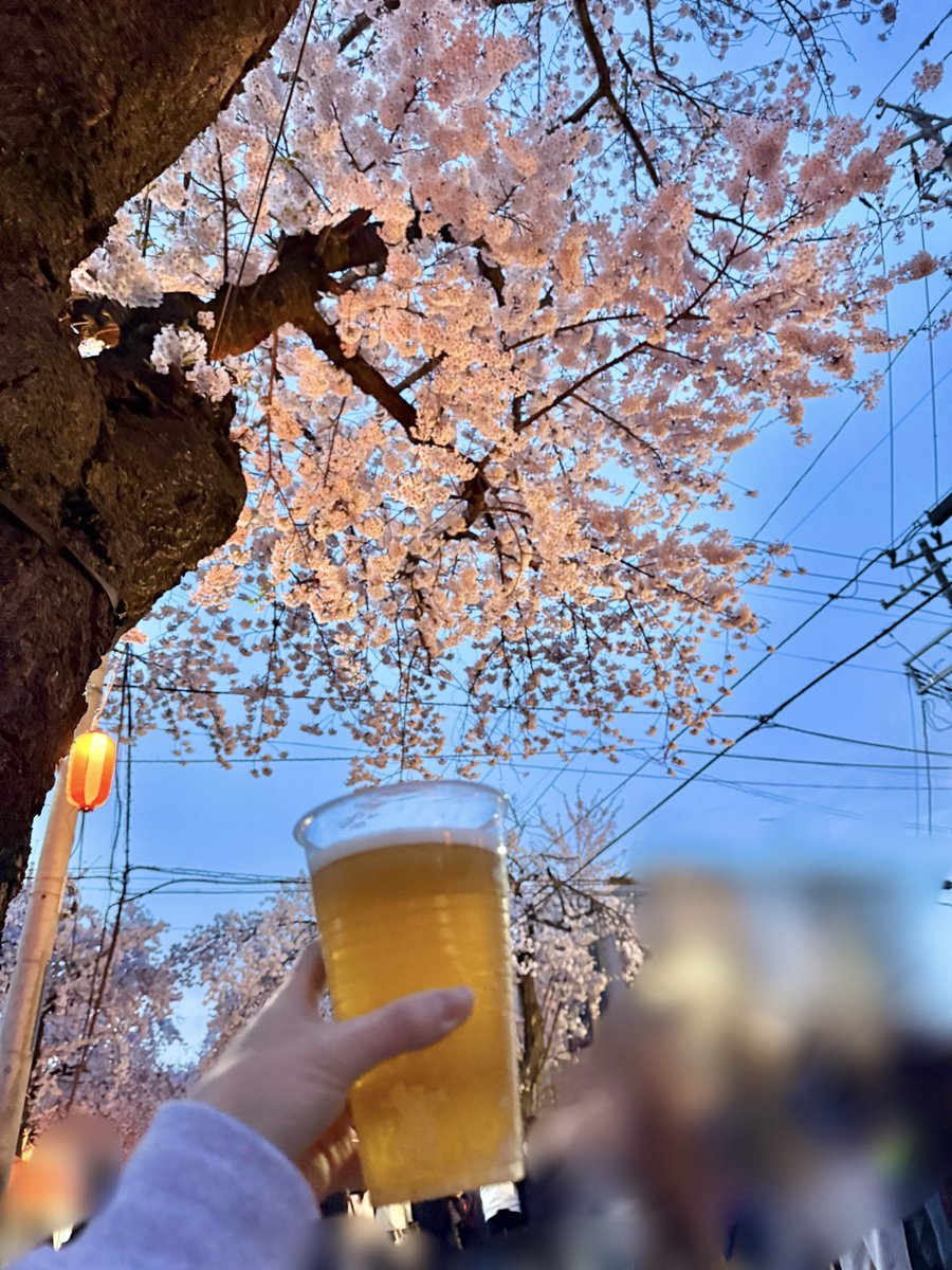 仕事終わりにお花見…🍺

皆さん今日もお疲れ様です！