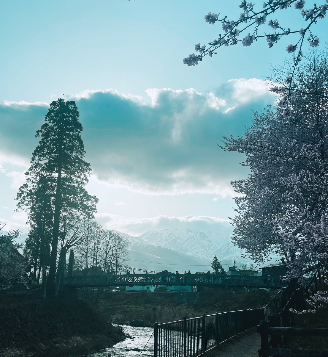 写真ヘタクソ選手権、てか雄大すぎるものってどう撮ればいいんだかさっぱり分からない
白馬からの日本アルプス🏔️