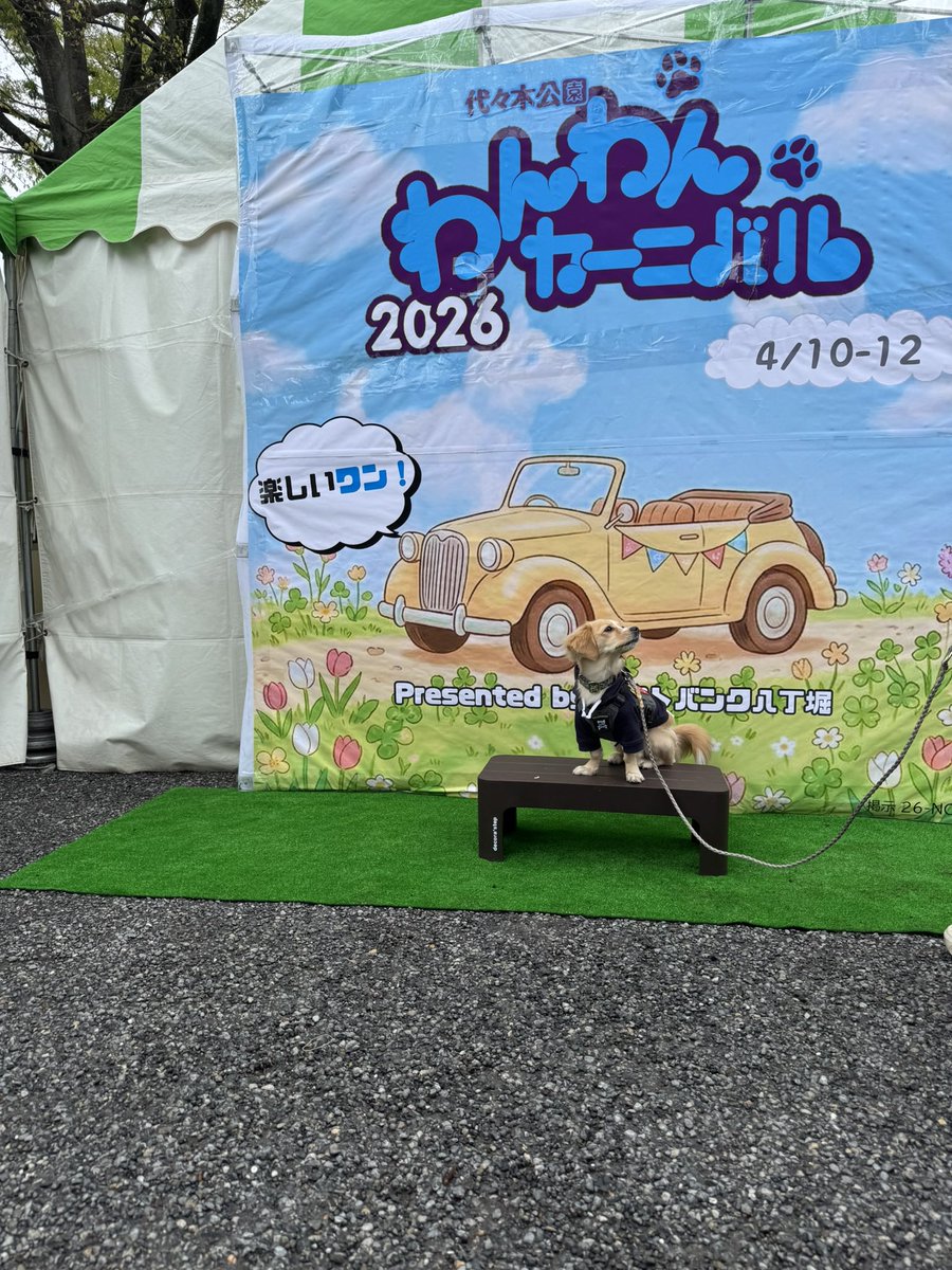 マンファスSHO★BAKU tweet media