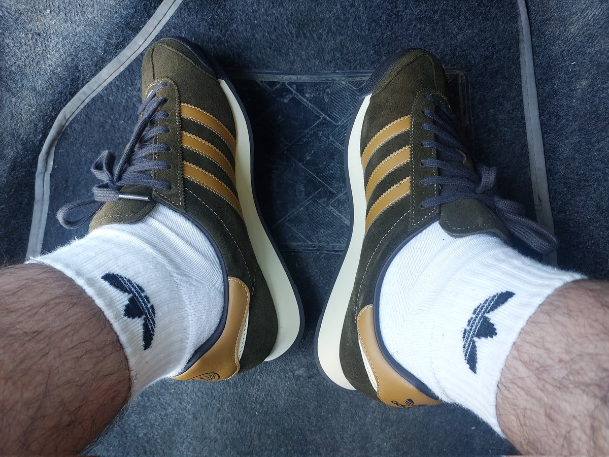 catMaimone♧ tweet media