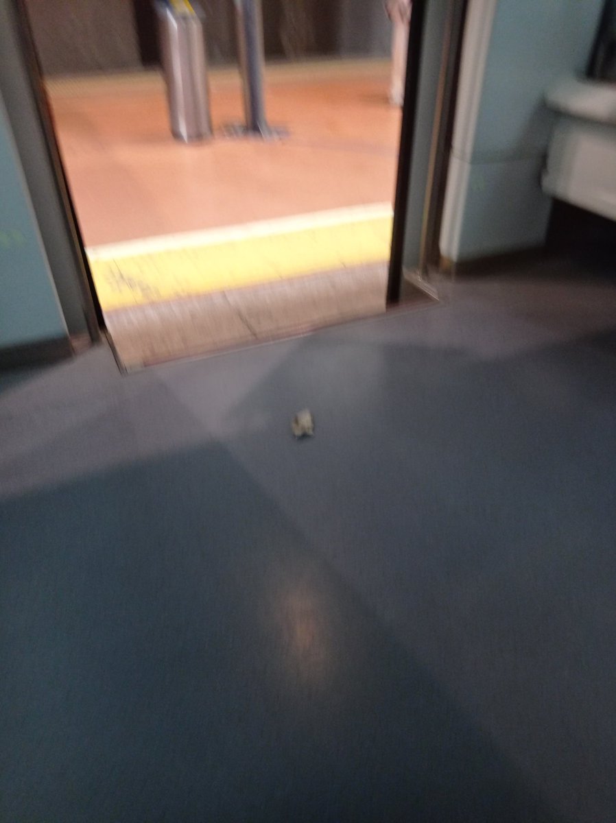 ikanian@tech.lgbt tweet media