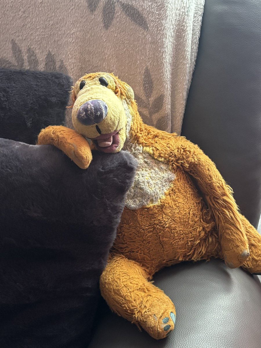 Bear Honey (@BaDameIshaBEAR) / Posts / X