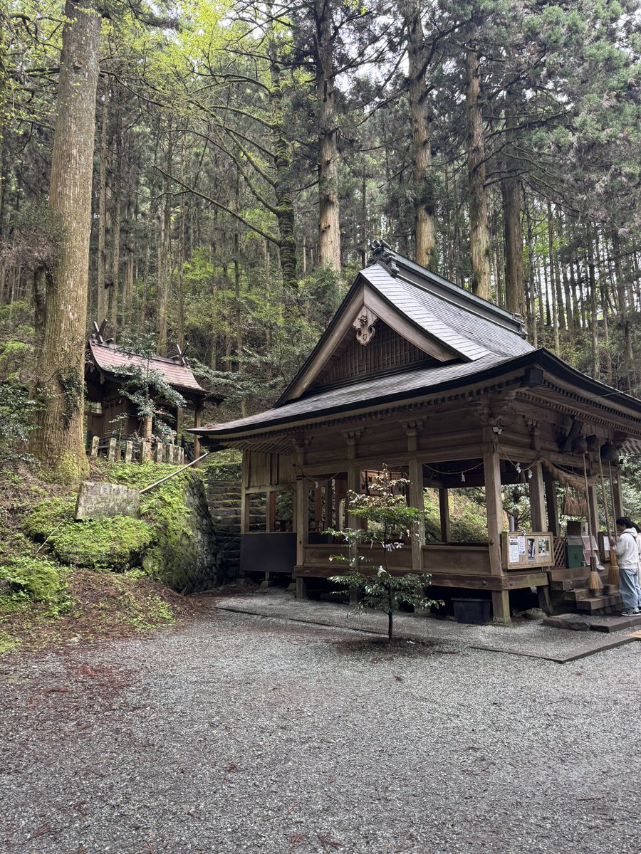 naonaobeem's tweet photo. 上色見熊野座神社に初めて参拝させていただきました。

素晴らしい場所でした。
しかし台湾人か中国人か知らんけどずっとデカい声で話して行くのはどうにかならんかね…

日本の神社参り教えてあげてほしい。うるさすぎる！
#上色見熊野座神社 https://t.co/FUDJa5ilRM